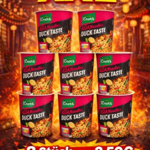 Ganzer Karton Knorr Asia Noodles Duck